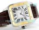 Swiss Copy Cartier Santos 100th Anniversary Two-tone Yellow Gold Case Men's Watch (4)_th.jpg